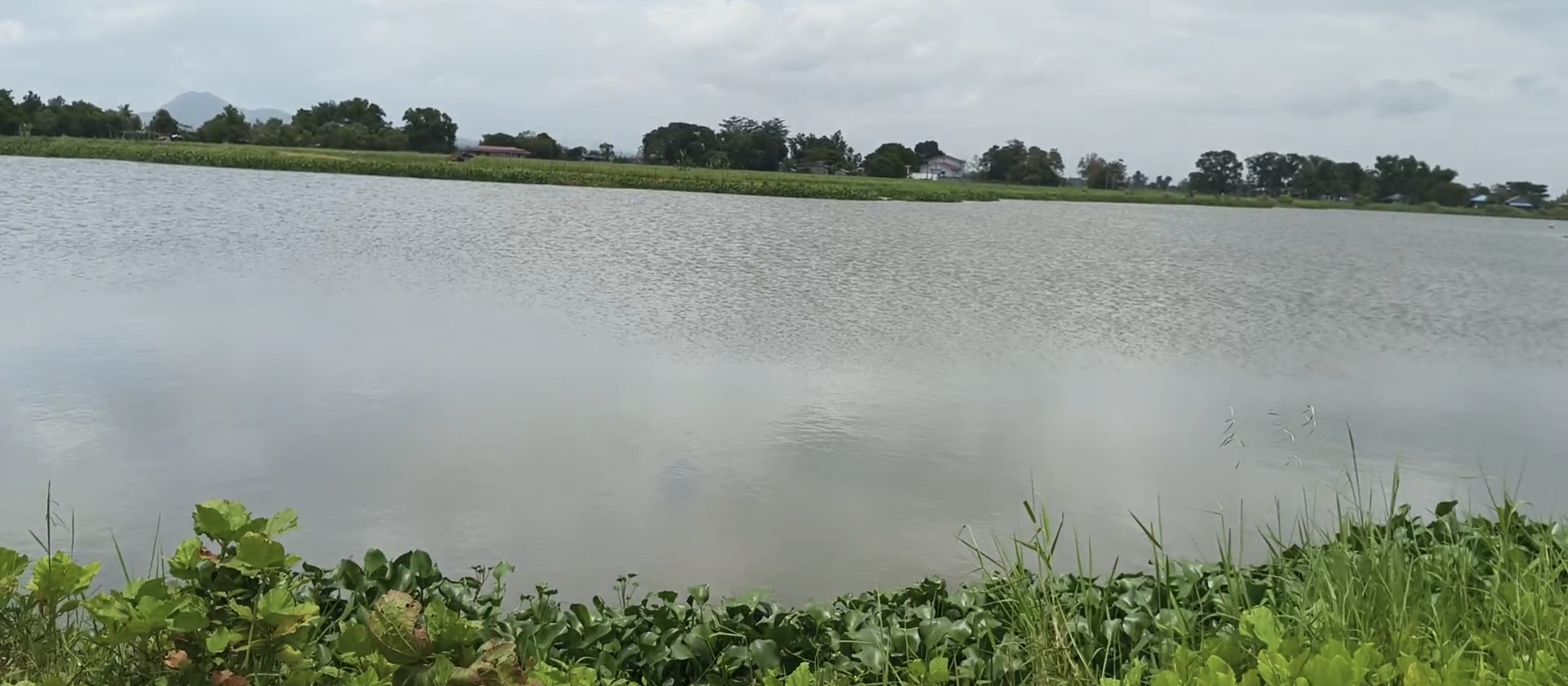 Lake 2