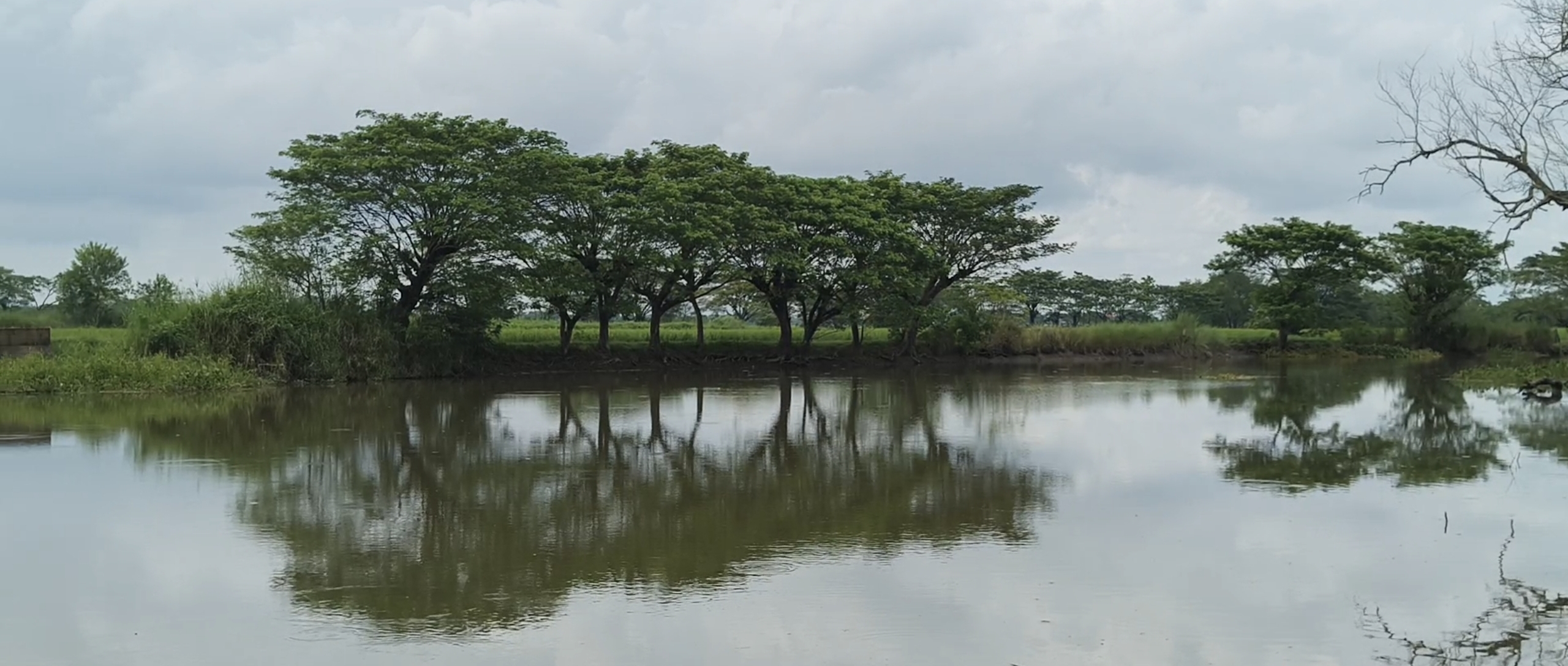 Lake 3